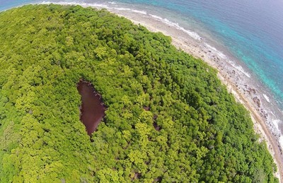 ބާރަށާއި ނޭކުރަންދު އާއި ކޭލަކުނުގެ ކުޅި ހިމާޔަތް ކުރަނީ