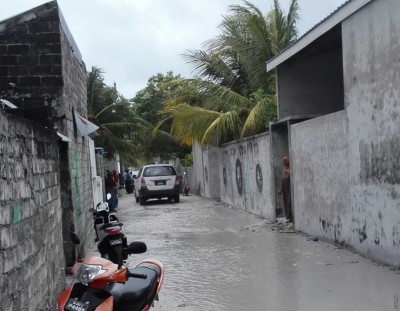 ތިނަދޫގައި މީހަކު އޭނާގެ މަންމައަށް ހަމަލާދީ ބޯފަޅާލައިފި