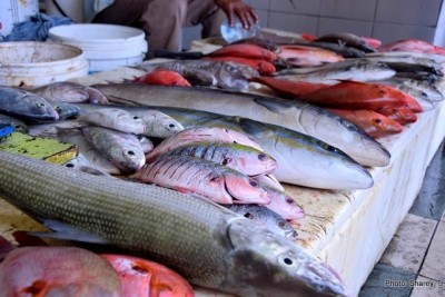 މަހުގެ އެކްސްޕޯޓާ އެކު އޮކްޓޫބަރުގެ އެކްސްޕޯޓުތައް އިތުރުވެއްޖެ