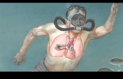 މަސްވެރިން ޑީކޯވުމުގެ ފަހަތުގައި ވަނީ އިހުމާލު: ސެންޑީ