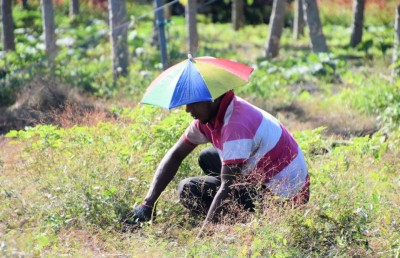 ދަނޑުވެރިކަމުގެ ސާމާނުން ޑިއުޓީ ކަނޑާލަން މަޖިލީހުން ފާސްކޮށްފި