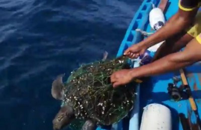 ވެލާ ސަލާމަތް ކުރާ ކޯޓު އޮފިސަރު