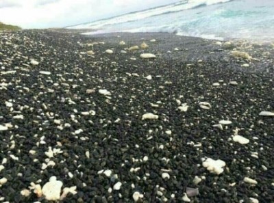 ފަރަށް އެރި ބޯޓުން އުކާލި ހިލަތައް ފުވައްމުލަކު ގޮނޑުދޮށަށް ލައްގަން ފަށައިފި