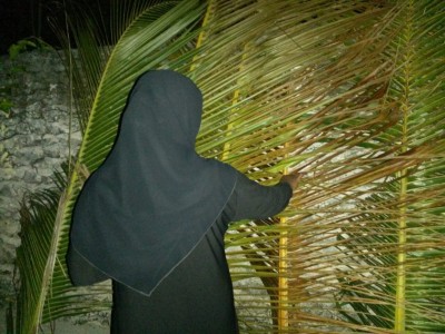 ދަންވި ދަންވިހެން ވަލަށް!