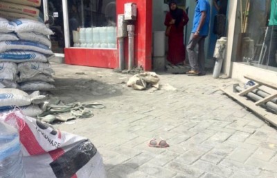 ސިމެންތި ބަސްތާއިން ޖެހި ޒަހަމްވި ކުއްޖާ މަރުވެއްޖެ