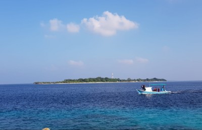 ތަކަން-މާރަންދޫ: ހިދުމަތުގެ ގޮތުން އެއްކުރެވިދާނެ