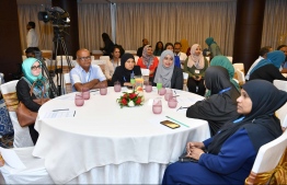 މަސައްކަތް ކުރަނީ ދިވެހި ބޭސްވެރިކަމަށް ވެސް ޖާގަދޭން: އަމީން