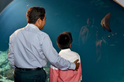 ކަނޑުއަޑީގެ އެންމެ ބޮޑު ރެސްޓޯރެންޓާއެކު ހުރަވަޅި ރިސޯޓް ރަސްމީކޮށް ހުޅުވައިފި