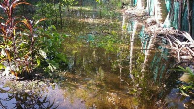 ފީވަކު ދަނޑުތައް ލޮނުގަނޑު ތެރޭގައި