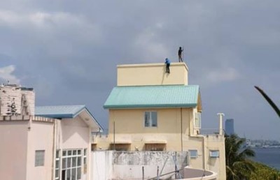 ކުޑަކުދިންގެ ހިޔާގައި ބަލަހައްޓާ ދެ ކުއްޖަކު ފުރާޅުމަތީގައި