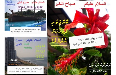 ކޮންމެ ދުވަހެއްގެ "ބާއްޖަވެރި ޅެންބައިތު": ޝާކިރުގެ އުފަލެއް