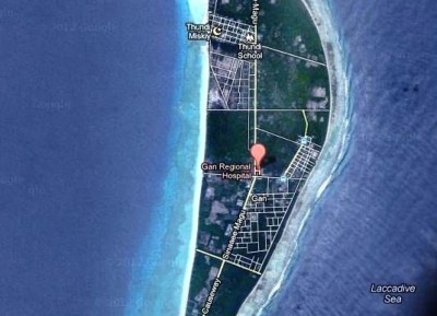 ގަމު، މަތިމަރަދޫ ލޯކަލް މާރުކޭޓުން ގޮޅި ދޫކުރަނީ