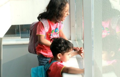 ޖިއާންގެ މަރު: "ނިވިގެން އެދިޔައީ ހަޔާތުގެ އަލިކަން"