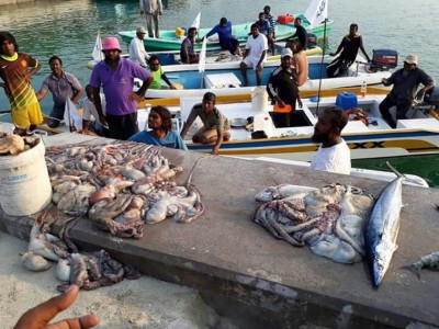 މަކުނުދޫ ދެމީހެއްގެ މެޑިކަލް ބިލްތައް ދައްކައިދޭން ރައްޔިތުން ނުކުމެއްޖެ