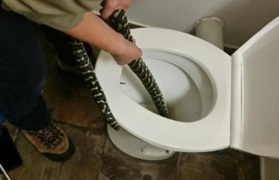 ފާހާނާކުރަން އިންދާ ހަރުފައެއް ހަަމަލާ ދީފި