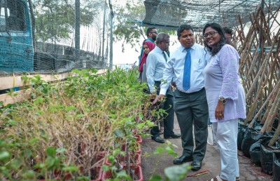 ބޮޑުތަކުރުފާނު މަގު ފެހިކުރަން ސިޓީ ކައުންސިލަށް ގަސް ހަދިޔާކޮށްފި