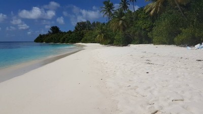 އަރިއަދޫ ސަރުކާރަށް ނަގައިފި