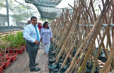 ބޮޑުތަކުރުފާނު މަގު ފެހިކުރަން ސިޓީ ކައުންސިލަށް ގަސް ހަދިޔާކޮށްފި