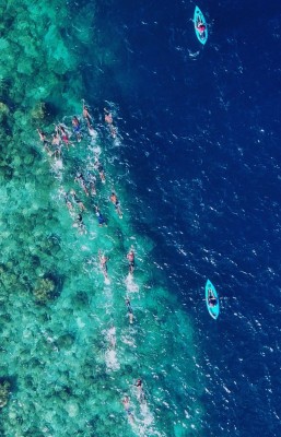 ތިމާވެށި ރައްކާތެރިކުރަން އެދި ފަތާފައި 22 ރަށަށް!