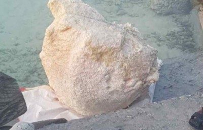 އެކަނި މަހަށް ގޮސް އުޅެނިކޮށް ފެނުނީ 82 ކިލޯގެ މާވަހަރެއް