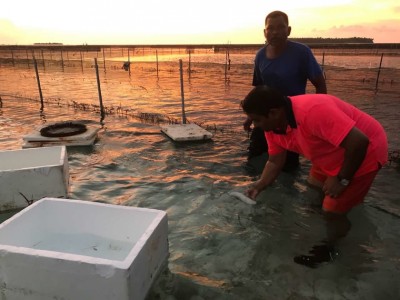 އިސްދޫގައި ހުއިފިލަނޑާ ބޮޑުކުރުމުގެ މަސައްކަތް އިފްތިތާހުކޮށްފި