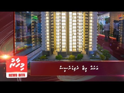 ލިވިން އެކްސްޕޯގައި އަކުއާ ވީޓާއަށް ސަމާލުކަން