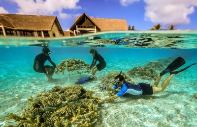 ލަނޑާ ގިރާވަރުން ދައްކަމުން އަންނަ ނަމޫނާ