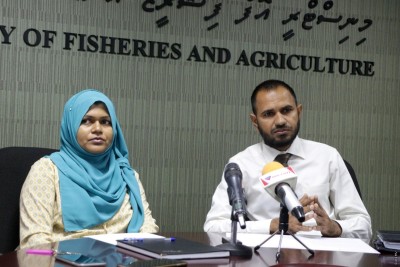 ދައުލަތަށް ލިބެންޖެހޭ 39 މިލިއަން ރުފިޔާ ހޯދުމުގެ މަސައްކަތްދަނީ ކުރަމުން: ފިޝަރީޒް