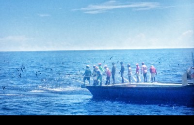 އިންޑިއާ ސަރަހައްދަށް ވަދެ އުޅުނު ދިވެހި މަސް ދޯންޏެއް އަތުލައިފި
