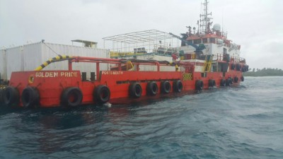 މޫސުން ގޯސްވެގެން، ޑޮމިނިކަން ރިޕަބްލިކްގެ ޓަގެއް އުލިގަމުގައި ބަނދަރުކޮށްފި