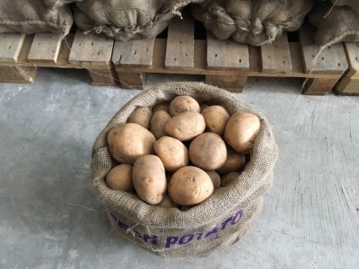 މާދަމާއިން ފެށިގެން ބިހާއި އަލުވި އަނެއްކާވެސް ހޯލްސޭލްކުރަން ފަށަނީ