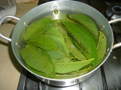 ފޭރުފަތުން ހަށިގަނޑަށް ލިބޭ ފައިދާ