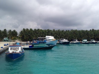 ބަނޑިދޫއިން ޒަކާތް ހައްގުވަނީ އެންމެ ދެ މީހުންނަށް