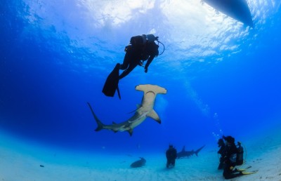 މަސްވެރިންގެ ޝަކުވާއަށް ވުރެ މިޔަރުގެ ފައިދާ ބޮޑު!