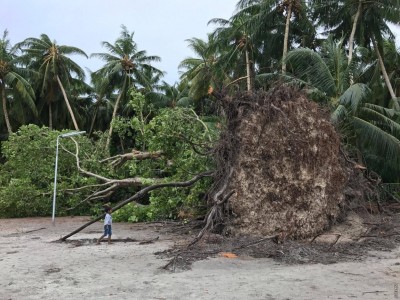 ދޮޅު ގަރުނުވީ އޮމަދޫގެ ބޮޑު ނިކަގަސް ގަދަ ވަޔާ އެކު ވެއްޓިއްޖެ