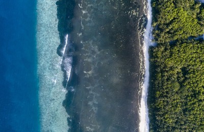 ފަކުރަކަށް ވެފައި ހުރި މޫދުވިނަ ފަޚުރަކަށް ހެދިދާނެ؟