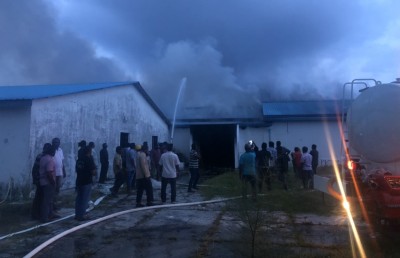ހިތަދޫގެ މަސް ފެކްޓްރީއެއްގައި ރޯވެއްޖެ