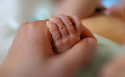 ވިހެއުމަށް ފަހު ޖަންކްޝަނެއް ތެރޭ 'ފޮރުވި' އިންޑިއާ ކުއްޖަކު ސަލާމަތްކޮށްފި