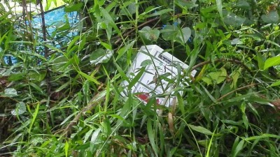 ފީވަކުގައި ބެހެއްޓި ރޮހިންޔާ މުސްލިމުންގެ ފަންޑުފޮށި ވަގަށް ނެގި މައްސަލާގައި މީހަކު ހައްޔަރުކޮށްފި