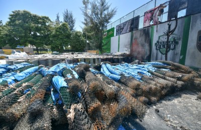 ގިނަ ޓާފްތައް ސަލާމަތް ކުރެވުނު!