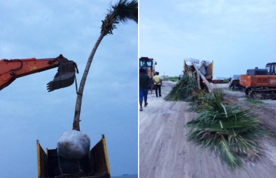 ރަށްތައް ހަނަފަސްކޮށްލުން ހަމަ އެންމެ ރަނގަޅު؟