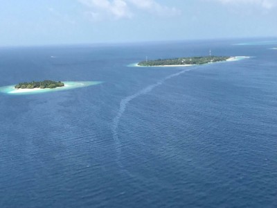 އަޑިއަށް ދިޔަ ތެޔޮ ބޯޓުން ތެޔޮ ލީކުވެ، ތިމާވެއްޓަށް ނުރައްކާވެދާނެ ކަމުގެ ބިރު