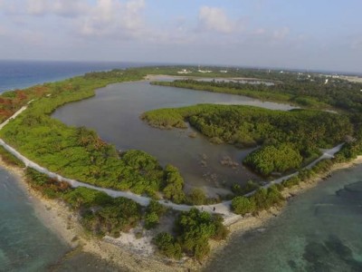 ކުޅި ހިއްކުން ހުއްޓުވުމުގެ މައްސަލަ ކުޅުދުއްފުށީ ކޯޓުން ބަލައެއް ނުގަތް