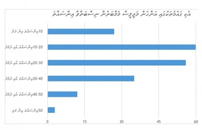 ރައްޔިތުންގެ މަޖިލީސް: ދިވެހި އަންހެނުންނާއި ފިރިހެނުންގެ މަޖިލީސް