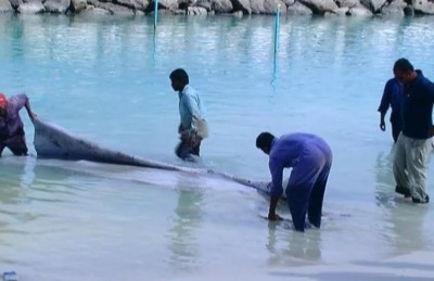 ތަހުލީލުތައް އަދި ނުނިމޭ، ރަސްފަންނު ހުޅުވާލެވޭނެ ދުވަހެއް ނޭނގޭ: އެޗްޕީއޭ