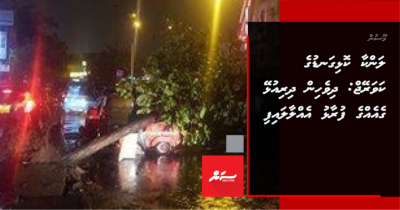 SriLanka kolhigandu: Dhivehin dhiriulhey gey ehge furaalhu ehlaalaifi
