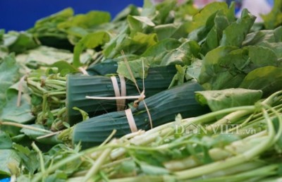 ވިއެޓްނާމްގައި ޕްލާސްޓިކް ކޮތަޅުގެ ބަދަލުގައި ކެޔޮފަތް