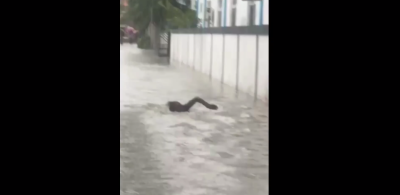 ފެންބޮޑުވެފައިވާ މީދޫގެ މަގެއްގައި މީހަކު ފަތާ ވީޑިއޯ އަކަށް އެތައް ބައެއްގެ ޝައުގު!