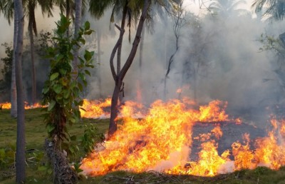 އދ. އަތޮޅު ފަޅުރަށެއްގައި ރޯވެ އަނދަނީ