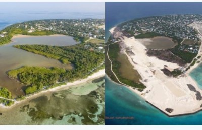 ކުޅުދުއްފުށީ ކުޅި ހިމާޔަތްކުރެވޭނެ ގޮތް ދިރާސާކުރަން ސައިންޓިސްޓުންގެ ޓީމެއް
